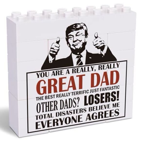 Funny Dad Gifts | YOU ARE A REALLY GREAT DAD | Sign - Picture 1 of 3